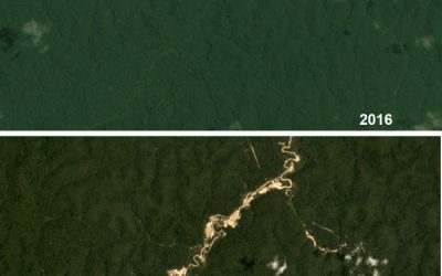 ISA: Yanomami temem “ciclo de violência” após assassinato de dois indígenas por garimpeiros em Roraima