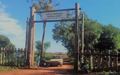 DE OLHO NOS RURALISTAS: Guarani que trabalha em frigorífico contrai Covid-19 e é 1º caso na região de Foz do Iguaçu