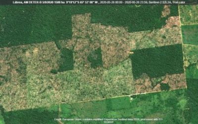 CONGRESSO EM FOCO: Desmatamento na Amazônia dobra em 2020 e bate com folga o recorde de 2019