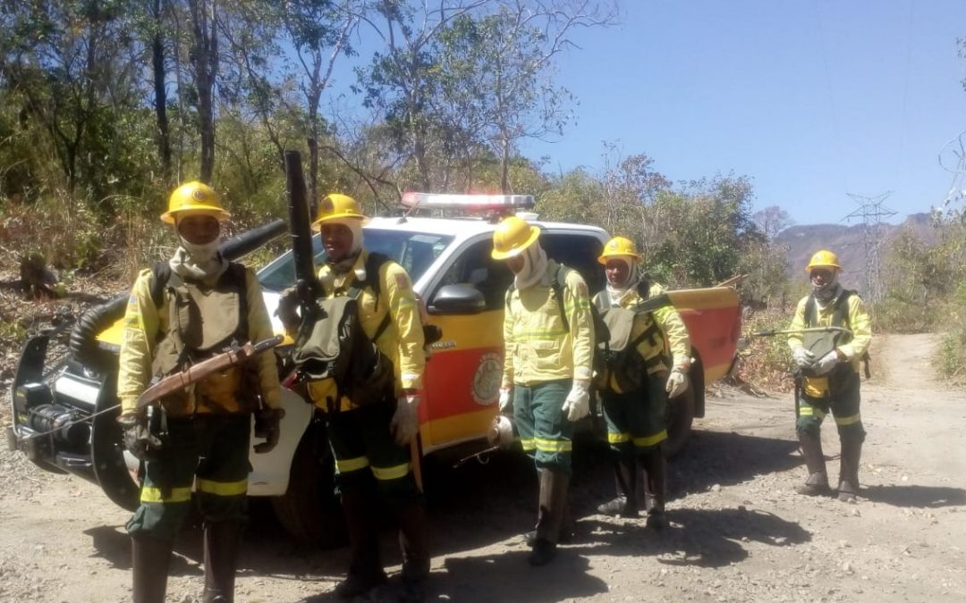 FUNAI: Ibama contrata 1.481 brigadistas para combater incêndios na seca; 41 brigadas devem atuar em Terras Indígenas