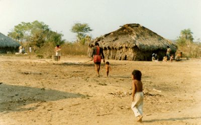 JORNALISTAS LIVRES: Governo de MT quer aproveitar a Covid pra “passar a boiada” em terras indígenas