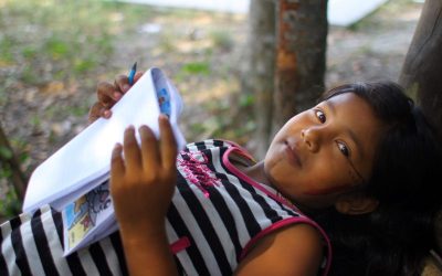 CPI-SP: Pandemia do coronavírus compromete a educação nas escolas indígenas em São Paulo