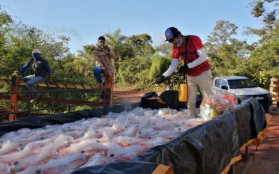 DEFESA: Brasil bate a marca de 275 mil cestas de alimentos distribuídas