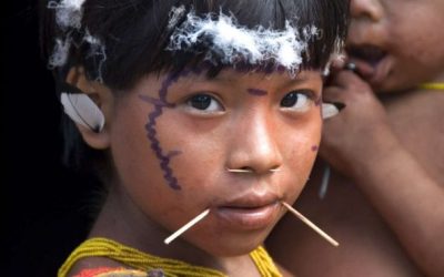 AMAZÔNIA NOTÍCIA E INFORMAÇÃO: Por que Bolsonaro está sendo acusado de colocar indígenas em risco em meio à pandemia de covid-19