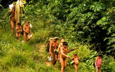 FOLHA DE SÃO PAULO: Com 2 mortes em 3 dias, Covid-19 ameaça povos isolados na Amazônia