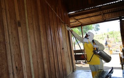 ONU BRASIL: OPAS: países devem combater malária durante pandemia; foco em comunidades vulneráveis