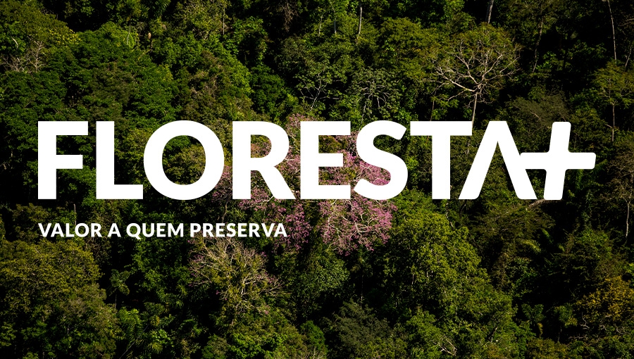 MMA: MMA institui programa Floresta+ para remunerar quem protege a mata nativa