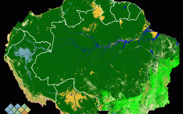 ISA: Com cobertura inédita, plataforma mostra uso do solo na Pan-Amazônia