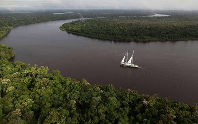 GREENPEACE: Precisamos de uma economia verde pós-pandemia, defende Ricupero (parte 3)