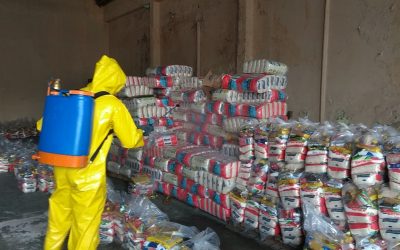 FUNAI: Indígenas do Mato Grosso do Sul recebem 11 mil cestas de alimentos