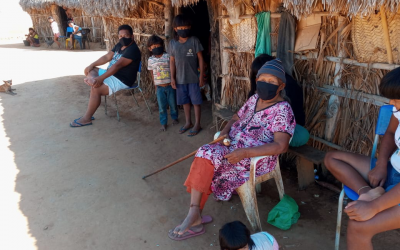 FUNAI: Governo federal e lideranças indígenas discutem medidas de combate à covid-19