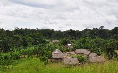 CPI- ACRE: Na TI Kaxinawá do Rio Humaitá, Huni Kuĩ e povos isolados enfrentam riscos da pandemia do coronavírus