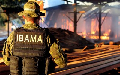 AMAZÔNIA NOTÍCIA E INFORMAÇÃO: “O Exército brasileiro não foi criado para comandar operações ambientais, por isso faz menos com muito mais recursos”.