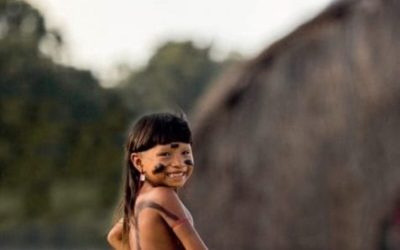 CNBB: Comissão para a Amazônia, Repam e Cimi também repudiam vetos ao PL 1142