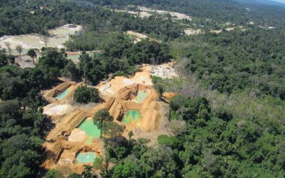 AMAZÔNIA NOTÍCIA E INFORMAÇÃO: Em plena pandemia, extração de ouro aumenta na Amazônia