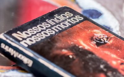 JORNALISTAS LIVRES: Nossos índios e um país sem futuro