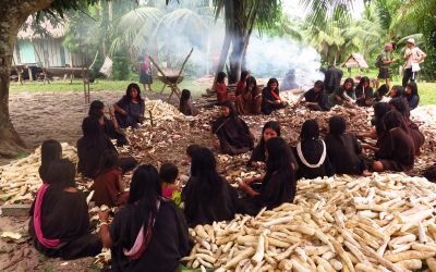 AMAZÔNIA NOTÍCIA E INFORMAÇÃO: Povo Ashaninka lança campanha para ajudar as comunidades vizinhas a enfrentar a pandemia