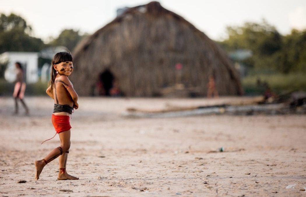 CIMI: Comissão para a Amazônia, Repam e Cimi repudiam vetos ao PL 1142