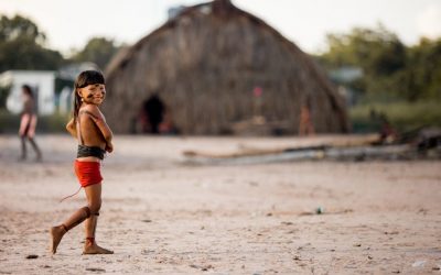 CIMI: Comissão para a Amazônia, Repam e Cimi repudiam vetos ao PL 1142