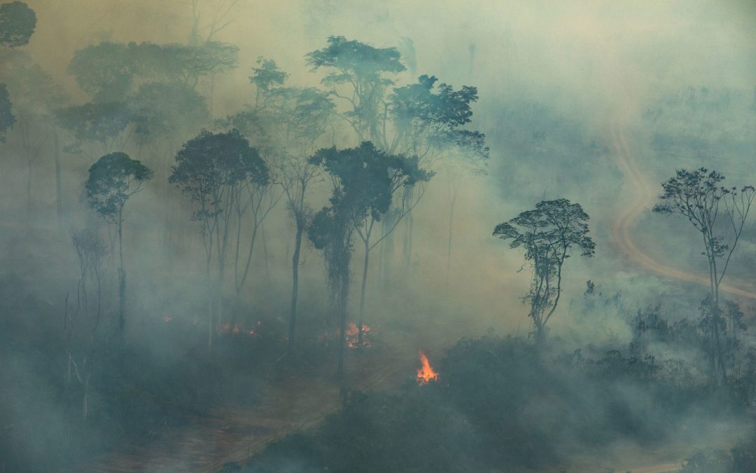 AMAZÔNIA REAL: Amazônia vive a dupla ameaça da Covid-19 e das queimadas