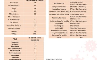 CPI- ACRE: Casos de Covid-19 no Acre e Terras Indígenas