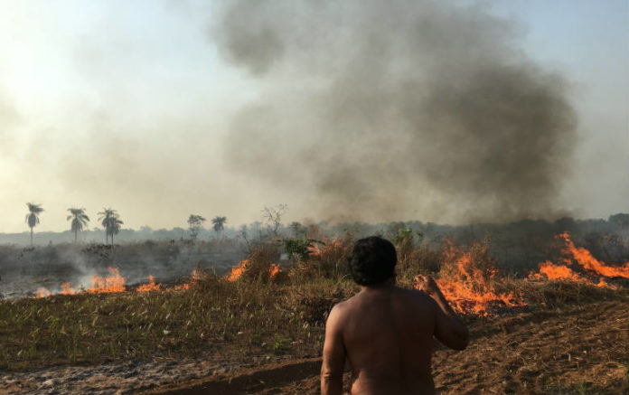 OPAN: Propriedades que tentam legalização dentro de terras indígenas em MT registraram incêndios e desmatamento