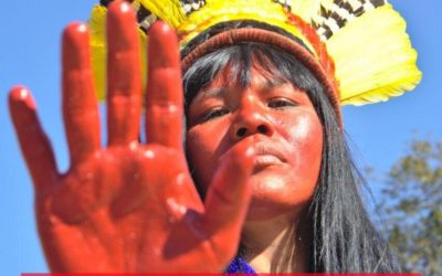 CPI- AC: APIB e 6 partidos políticos acionam o Supremo para evitar genocídio dos povos indígenas