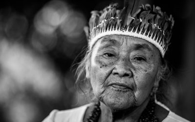 APIB: Povo Terena reivindica participação em audiência do STF