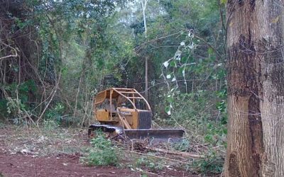 BRASIL DE FATO: Anúncios na internet oferecem tratores para desmatamento; vendas disparam em 2020