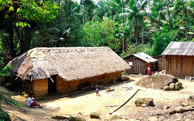 BRASIL DE FATO: Após quatro meses, indígenas têm prisão revogada por tentativa de furto de álcool gel