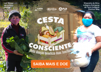 COMIN: FLD-COMIN-CAPA lançam campanha Cesta Consciente