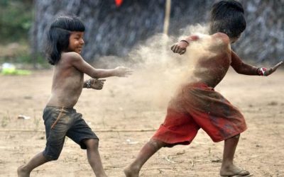 CONGRESSO EM FOCO: Frentes parlamentares repudiam vetos de Bolsonaro em Lei de apoio aos indígenas