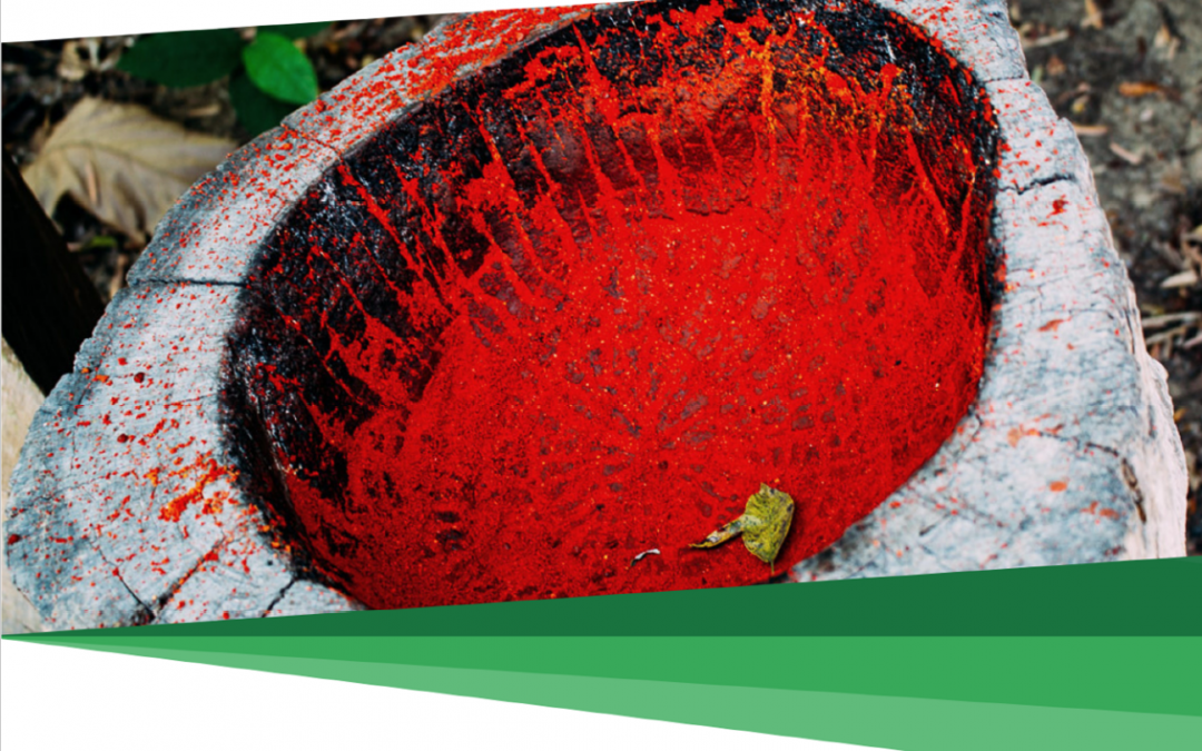 CTI: Pandemia: Edital para pequenos projetos indígenas é prorrogado