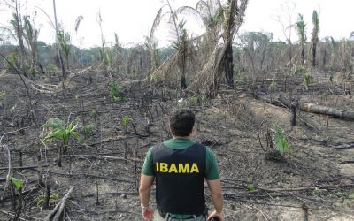 DE OLHO NOS RURALISTAS: Desmatadores entregam carta a Mourão pelo fim do desmatamento