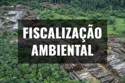 MPF: MPF recomenda fiscalização ambiental urgente em 10 terras indígenas e unidades de conservação no médio Xingu (PA)