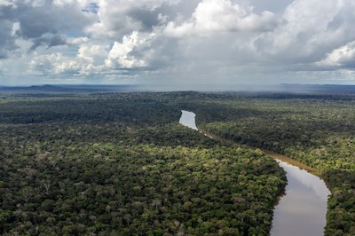 MPF: MPF quer impedir grilagem de terras indígenas no Amazonas