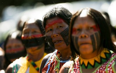 SENADO: Senadores pedem derrubada de vetos de Bolsonaro a medidas de proteção para indígenas