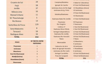 CPI-ACRE: Casos de Covid-19 no Acre e Terras Indígenas