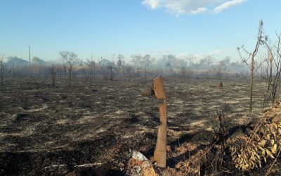 CIMI: A pedido do PGR, Supremo restabelece decisão que determina retirada de não-indígenas da TI Urubu Branco, em MT