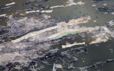 ISA: Mourão sugere que indígenas bebam água diretamente dos rios; em boa parte, contaminados