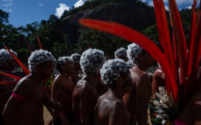 ISA: Testes rápidos ocultam quadro real da Covid-19 na Terra Indígena Yanomami, diz rede de pesquisadores