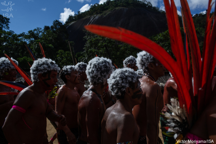 ISA: Testes rápidos ocultam quadro real da Covid-19 na Terra Indígena Yanomami, diz rede de pesquisadores