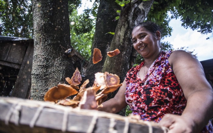 ISA: Rede de Sementes do Xingu vence o Ashden Awards, prêmio internacional para soluções climáticas