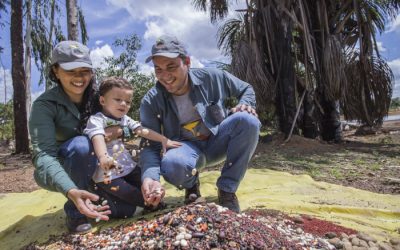 ISA: No balanço da Rede