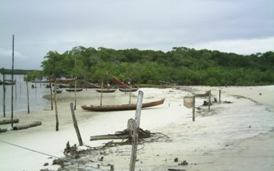 ISA: Governo tem 48 horas para se manifestar sobre a pandemia entre povos indígenas
