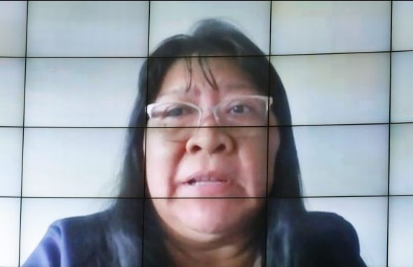 CÂMARA: Oposição cobra derrubada de vetos à prevenção de Covid-19 entre indígenas