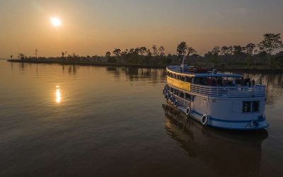 GREENPEACE: Vidas indígenas importam!