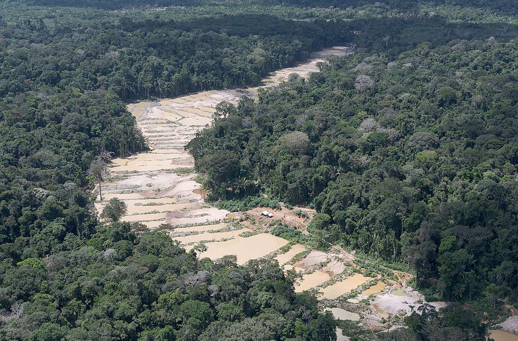GREENPEACE: Três áreas protegidas concentram 55% do desmatamento para garimpo na Amazônia