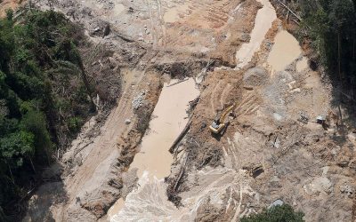 GREENPEACE: 582 dias de omissão