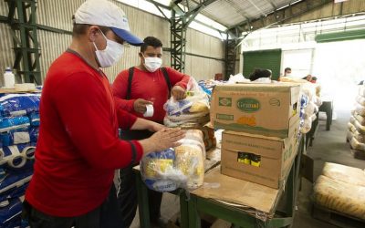 MMFDH: Mais de 309 mil cestas básicas já abasteceram comunidades e povos tradicionais no país